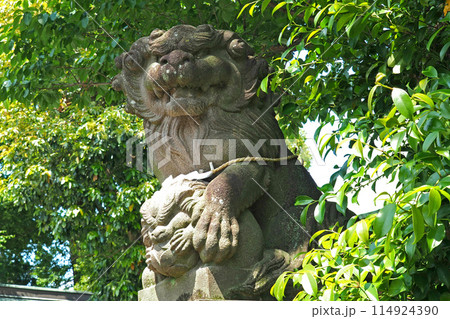鳩ケ谷氷川神社の狛犬【埼玉県川口市】 114924390