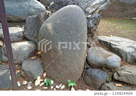 鳩ケ谷氷川神社の力石【埼玉県川口市】 鳩ケ谷氷川神社の力石【埼玉県川口市】 114924404