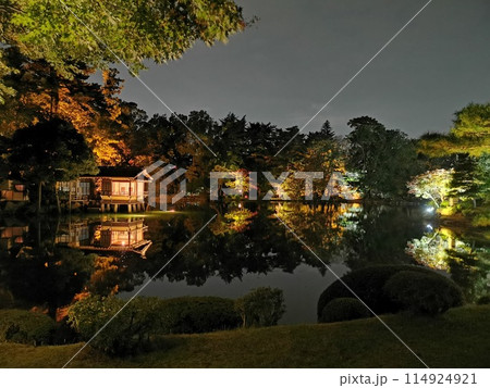 金沢 兼六園 紅葉夜景ライトアップ 114924921