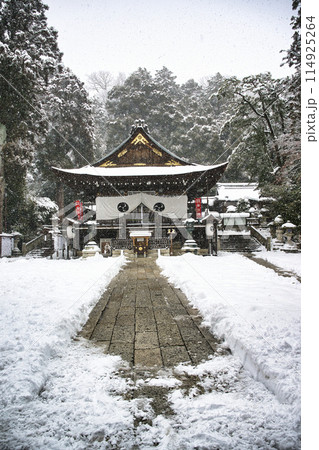 日群八幡宮 雪景色 2023年1月 日群八幡宮 雪景色 2023年1月 114925264