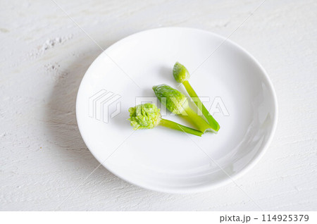 茹でたネギ坊主 茹でたネギ坊主 114925379