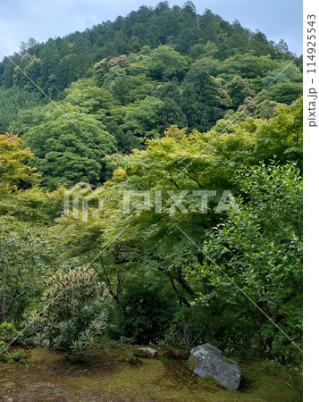 古刹の庭から見る借景 114925543