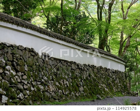 もみじの林の中の古刹の塀 114925578