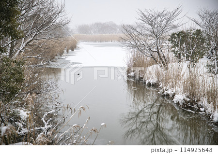 雪のある風景 雪のある風景 114925648
