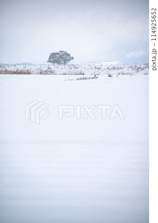雪のある風景 114925652