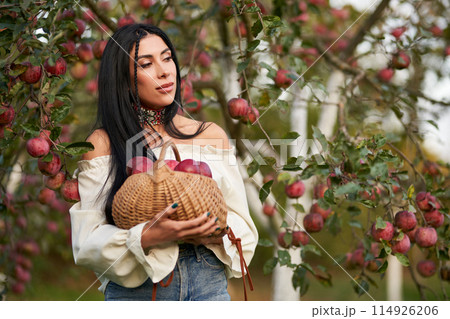 Cute farmer woman with freshly harvested apples in handbasket. Portrait of thoughtful lady in lovely white blouse picking ripe fruits in early fall season outdoors. Agriculture, gardening concept 114926206
