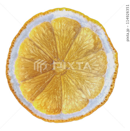 Sliced lemon on white background 114926351