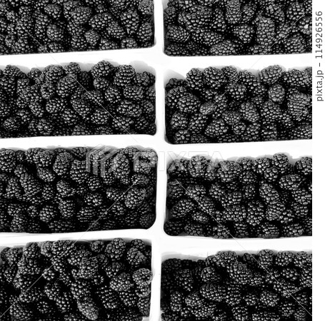 Blackberry 114926556