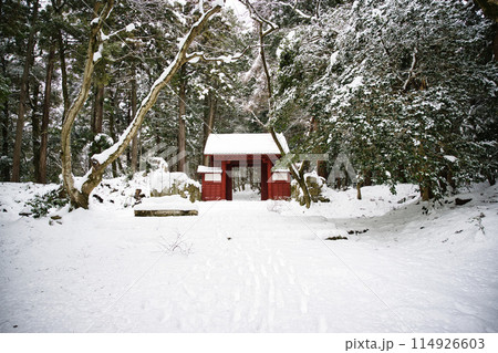 百済寺　雪景色2023年1月 114926603