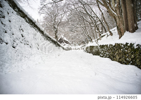百済寺　雪景色2023年1月 114926605