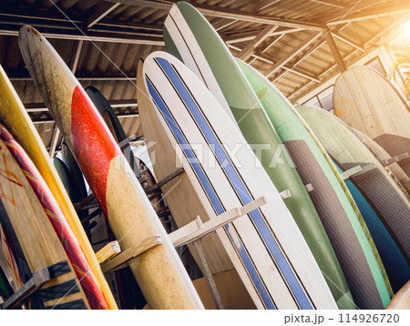 A variety of surfboards are neatly displayed on a stand 114926720