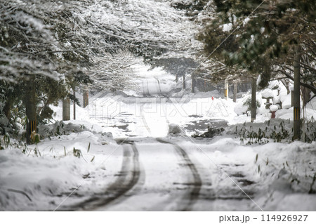 雪の季節のわだち 114926927