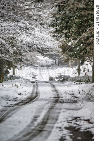雪の季節のわだち 雪の季節のわだち 114926929