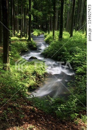 森と小川・四季の郷(福島県・福島市) 森と小川・四季の郷(福島県・福島市) 114927473