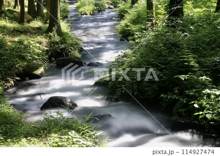 森と小川・四季の郷(福島県・福島市) 森と小川・四季の郷(福島県・福島市) 114927474