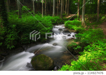 森と小川・四季の郷(福島県・福島市) 森と小川・四季の郷(福島県・福島市) 114927476