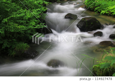 森と小川・四季の郷（福島県・福島市） 114927478
