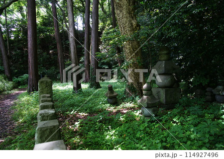 称名寺 北条顕時・金沢貞顕の墓 称名寺 北条顕時・金沢貞顕の墓 114927496