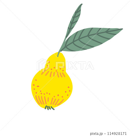 Colorful pear doodle illustration in a trendy style Colorful pear doodle illustration in a trendy style 114928171