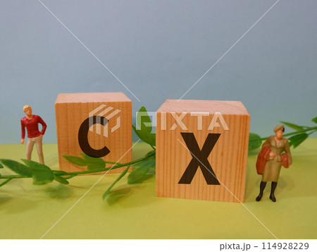 CXのアイキャッチ画像 114928229