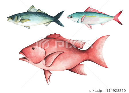 Set of colorful tropical fish. Aquarium animals .Watercolor illustration tropical fish. Underwater sealife concept. Set of colorful tropical fish. Aquarium animals .Watercolor illustration tropical fish. Underwater sealife concept. 114928230