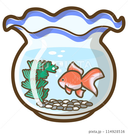 金魚鉢 金魚鉢 114928516