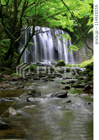 初夏の達沢不動滝（福島県・猪苗代町） 114928559