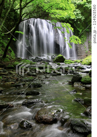 初夏の達沢不動滝(福島県・猪苗代町) 初夏の達沢不動滝(福島県・猪苗代町) 114928560
