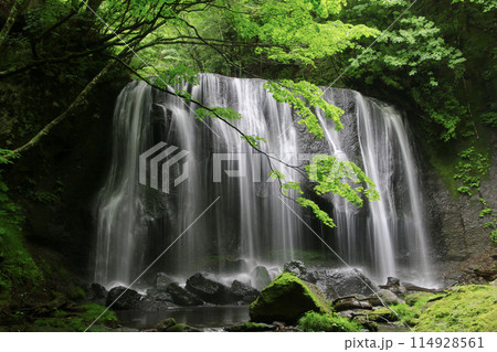 初夏の達沢不動滝(福島県・猪苗代町) 初夏の達沢不動滝(福島県・猪苗代町) 114928561