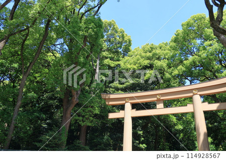 神社の鳥居と鎮守の森 鳥居のある風景 神社の鳥居と鎮守の森 鳥居のある風景 114928567