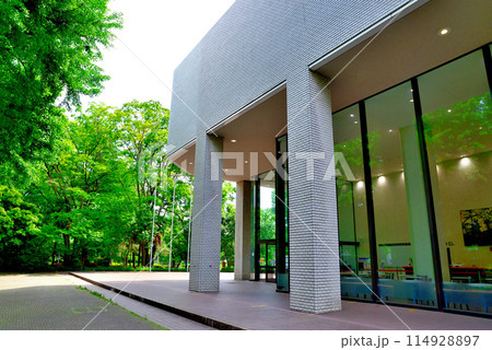 東京　新緑の映える有栖川宮記念公園 都立中央図書館 114928897