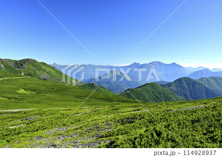 朝の乗鞍大黒岳からの風景（撮影地：乗鞍、大黒岳） 114928937