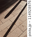 地面にのびる影 114928976