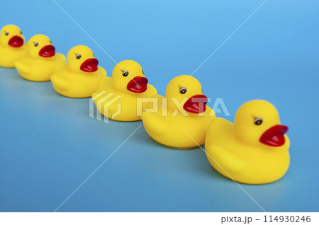 Rubber duck swimming with customizable space for text. Leadership and copy space concept. Rubber duck swimming with customizable space for text. Leadership and copy space concept. 114930246