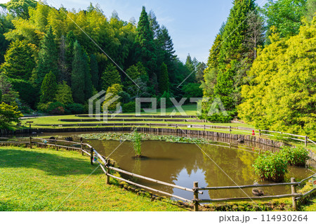 レッドヒル ヒーサーの森、緑美しいセンペルセコイア〈三重県津市〉 114930264
