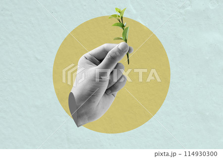 A human hand holding a green plant A human hand holding a green plant 114930300