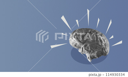 The human brain 114930334
