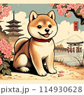 Shiba Inu 柴犬 114930628