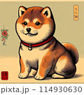 柴犬　Shiba inu 114930630
