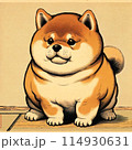 柴犬　Shiba Inu 114930631