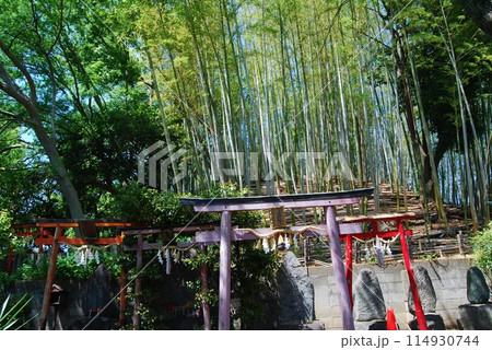 瓢箪山稲荷神社の風景 瓢箪山稲荷神社の風景 114930744