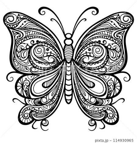 Doodle Ornate Butterfly, Adult Coloring Page Template. Doodle Ornate Butterfly, Adult Coloring Page Template. 114930965