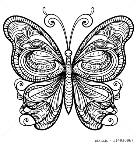 Doodle Ornate Butterfly, Adult Coloring Page Template.  114930967