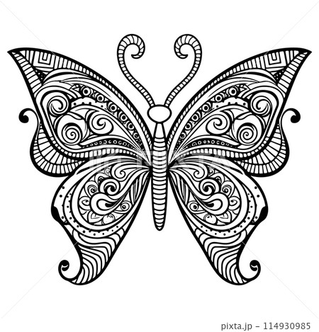 Doodle Ornate Butterfly, Adult Coloring Page Template.  114930985