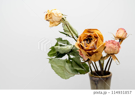 ドライフラワー（バラ） 114931857