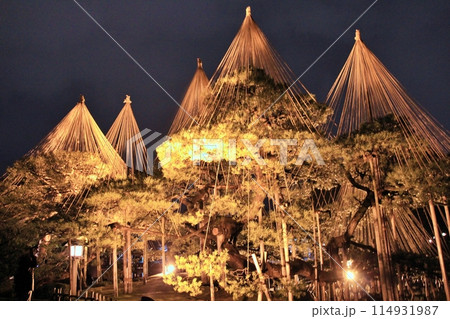 金沢兼六園の夜景 114931987