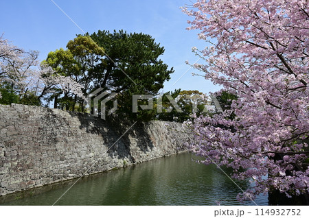 駿府城公園の二之丸橋から見た石垣と桜 114932752