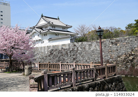 駿府城公園の坤櫓とソメイヨシノ 114933024