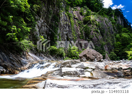 夏の面河渓　亀腹と五色河原1　愛媛県上浮穴郡久万高原町 114933118