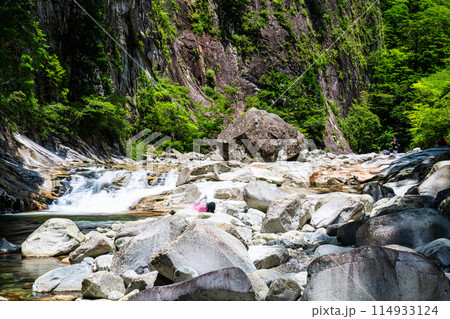 夏の面河渓 亀腹と五色河原3 愛媛県上浮穴郡久万高原町 夏の面河渓 亀腹と五色河原3 愛媛県上浮穴郡久万高原町 114933124